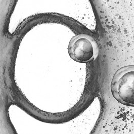 Ontwerp Studio van Middelaar