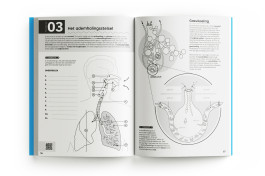 creatief met biologie werkboek hoofdstuk overview 