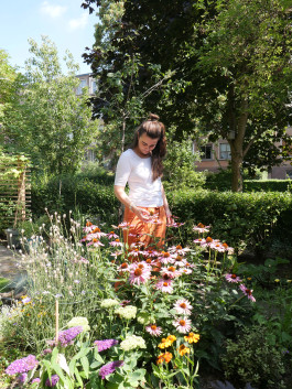 Ontwerp Studio van Middelaar