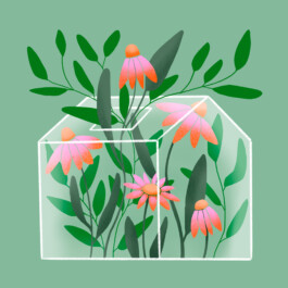 Ontwerp Studio van Middelaar