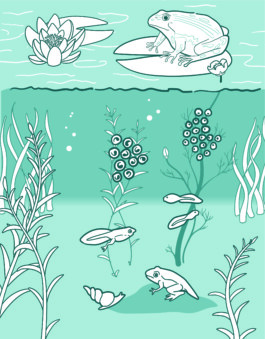 Ontwerp Studio van Middelaar