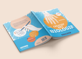 Ontwerp Studio van Middelaar